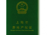 从肺炎疫情看我们中国人的爱国精神——新冠肺炎肺炎疫情引起的文化艺术思索