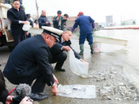 黄浦江上游松江段10多万尾鱼苗的增殖和投放，是长江水域的“添口”