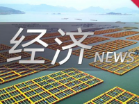 知乎发布上市后的第一份财务报告:收入4.78亿元，增长154.2%