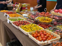 上海西红柿种植了158个品种！房地产大小西红柿金奖花落在谁家？